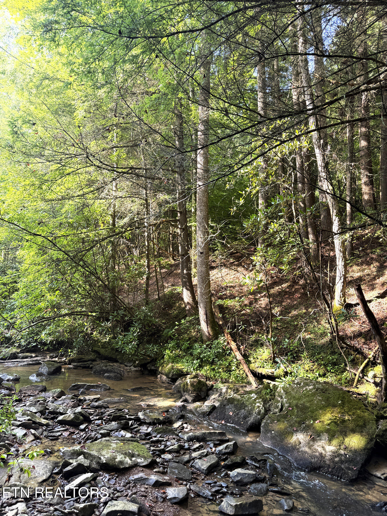 0 Sheep Ranch Road Robbins, TN 37852 - Photo 30 of 36 321.2_30