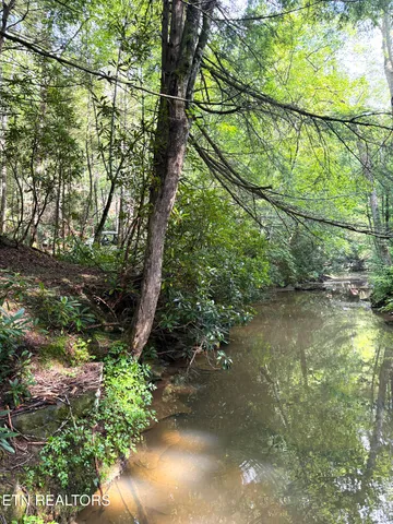 $154,900 | 0 Sheep Ranch Road, Robbins, TN 37852