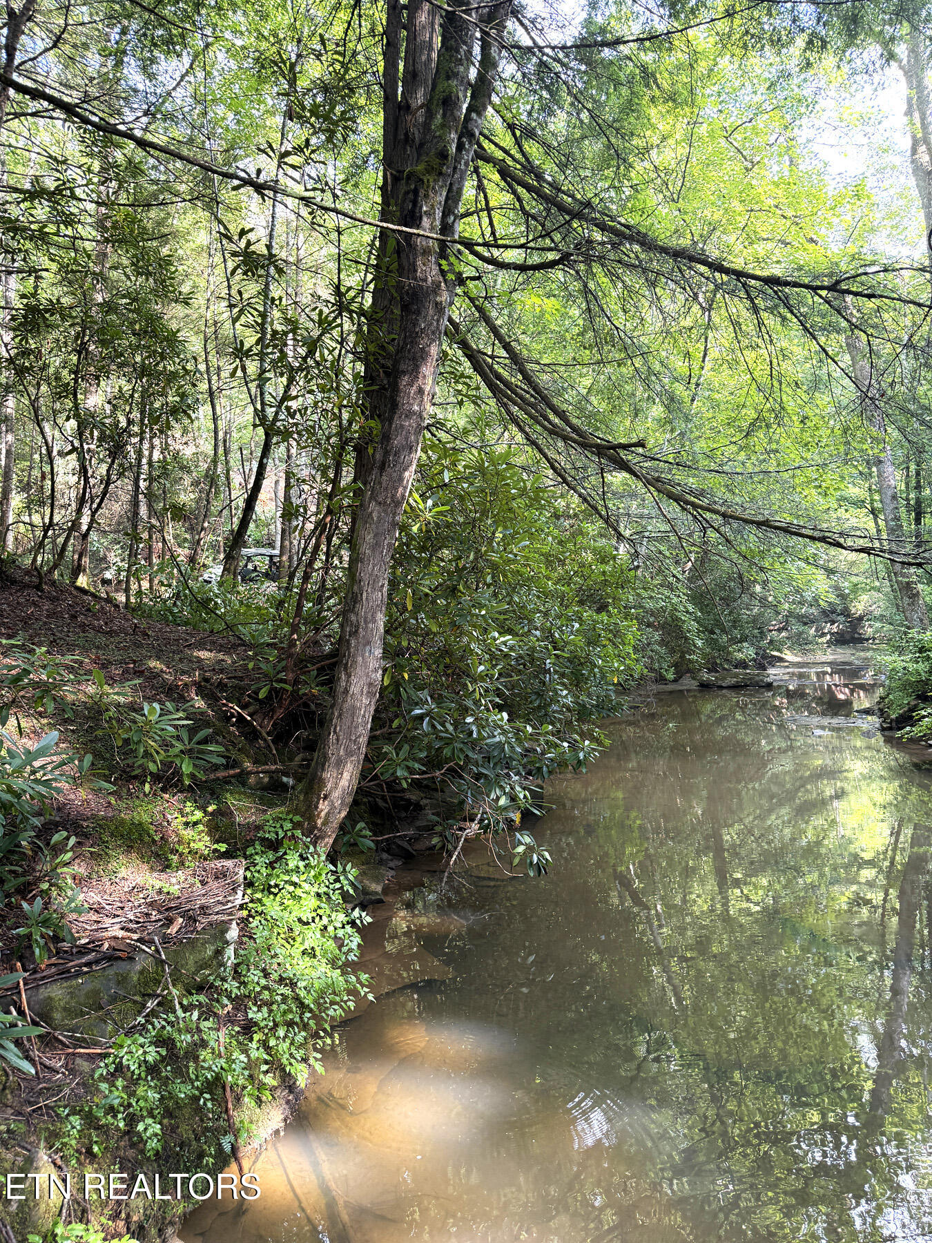 0 Sheep Ranch Road Robbins, TN 37852 - Photo 32 of 36 321.2_32