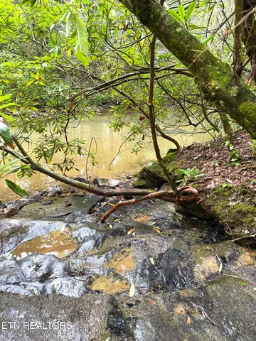 $154,900 | 0 Sheep Ranch Road, Robbins, TN 37852