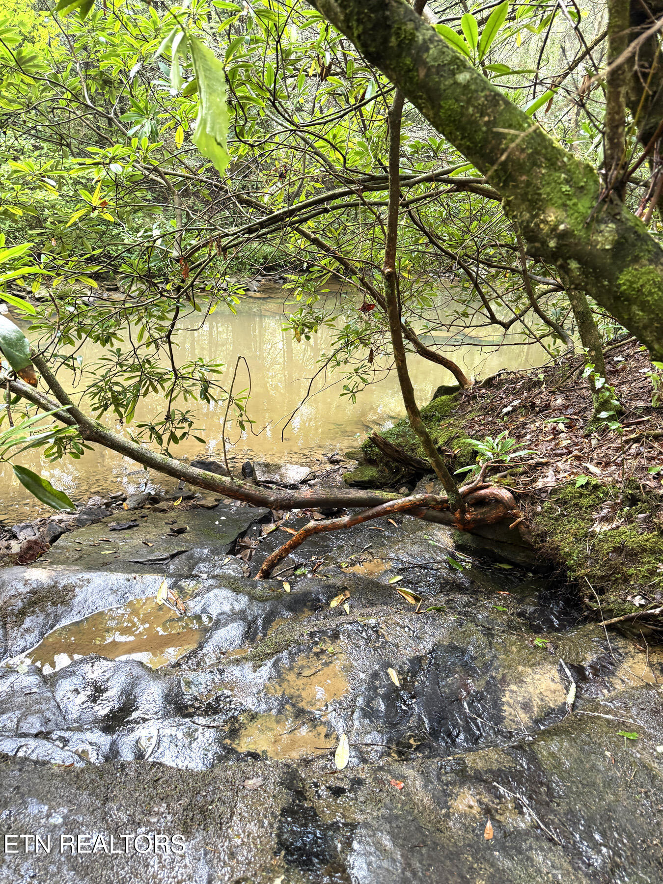 0 Sheep Ranch Road Robbins, TN 37852 - Photo 33 of 36 321.2_33