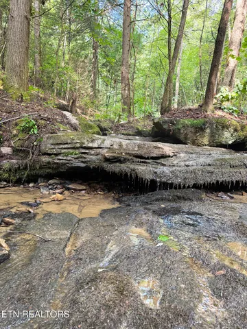 $154,900 | 0 Sheep Ranch Road, Robbins, TN 37852