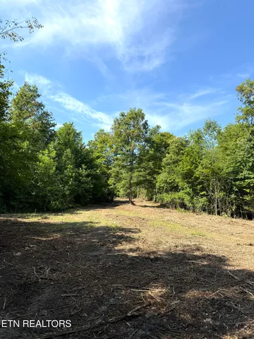 $154,900 | 0 Sheep Ranch Road, Robbins, TN 37852