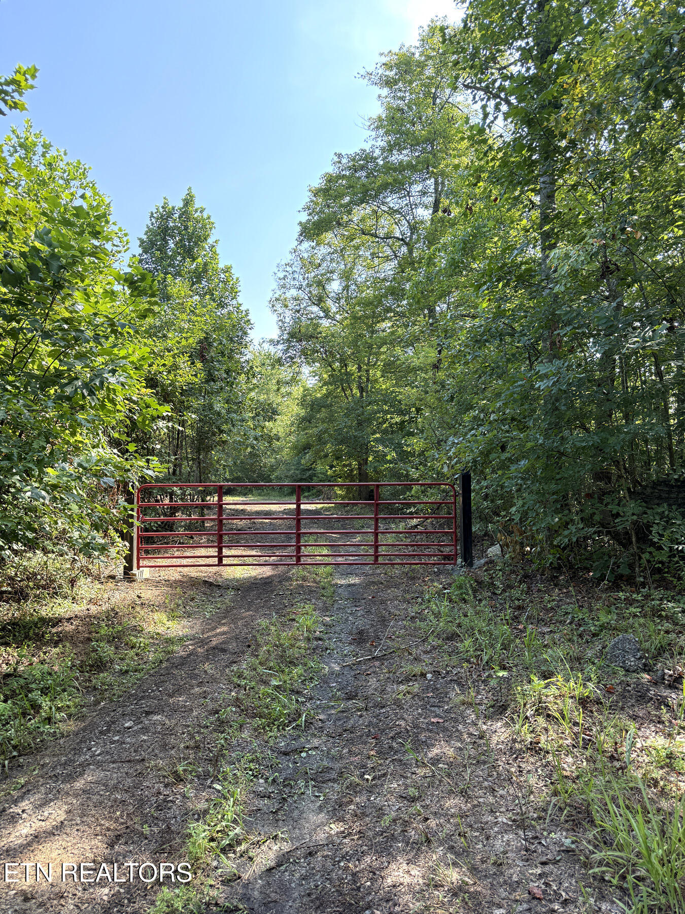 0 Sheep Ranch Road Robbins, TN 37852 - Photo 36 of 36 321.2_36
