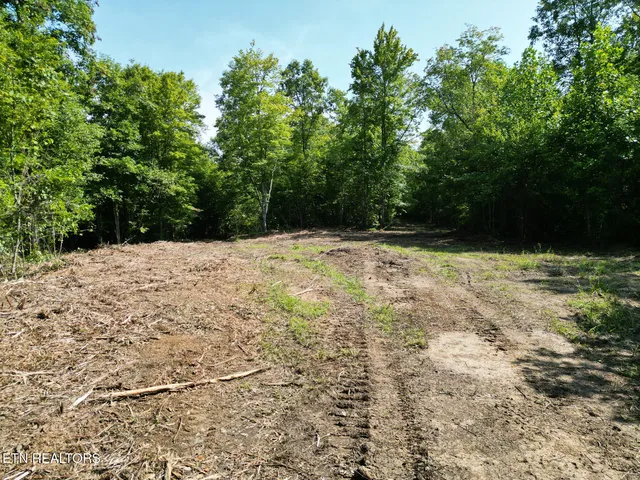 $154,900 | 0 Sheep Ranch Road, Robbins, TN 37852