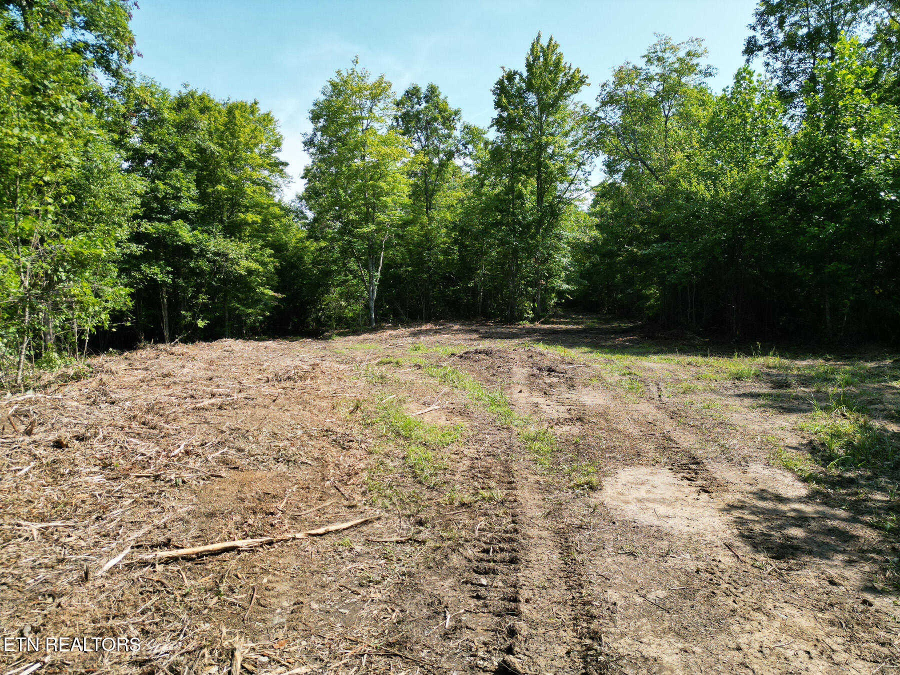 0 Sheep Ranch Road Robbins, TN 37852 - Photo 4 of 36 321.2_4
