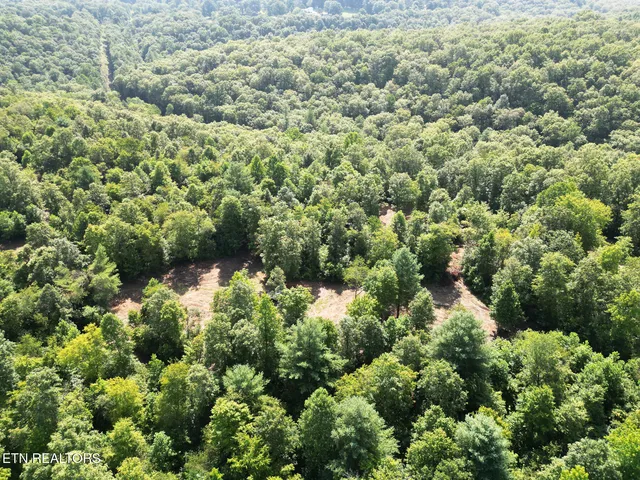 $154,900 | 0 Sheep Ranch Road, Robbins, TN 37852