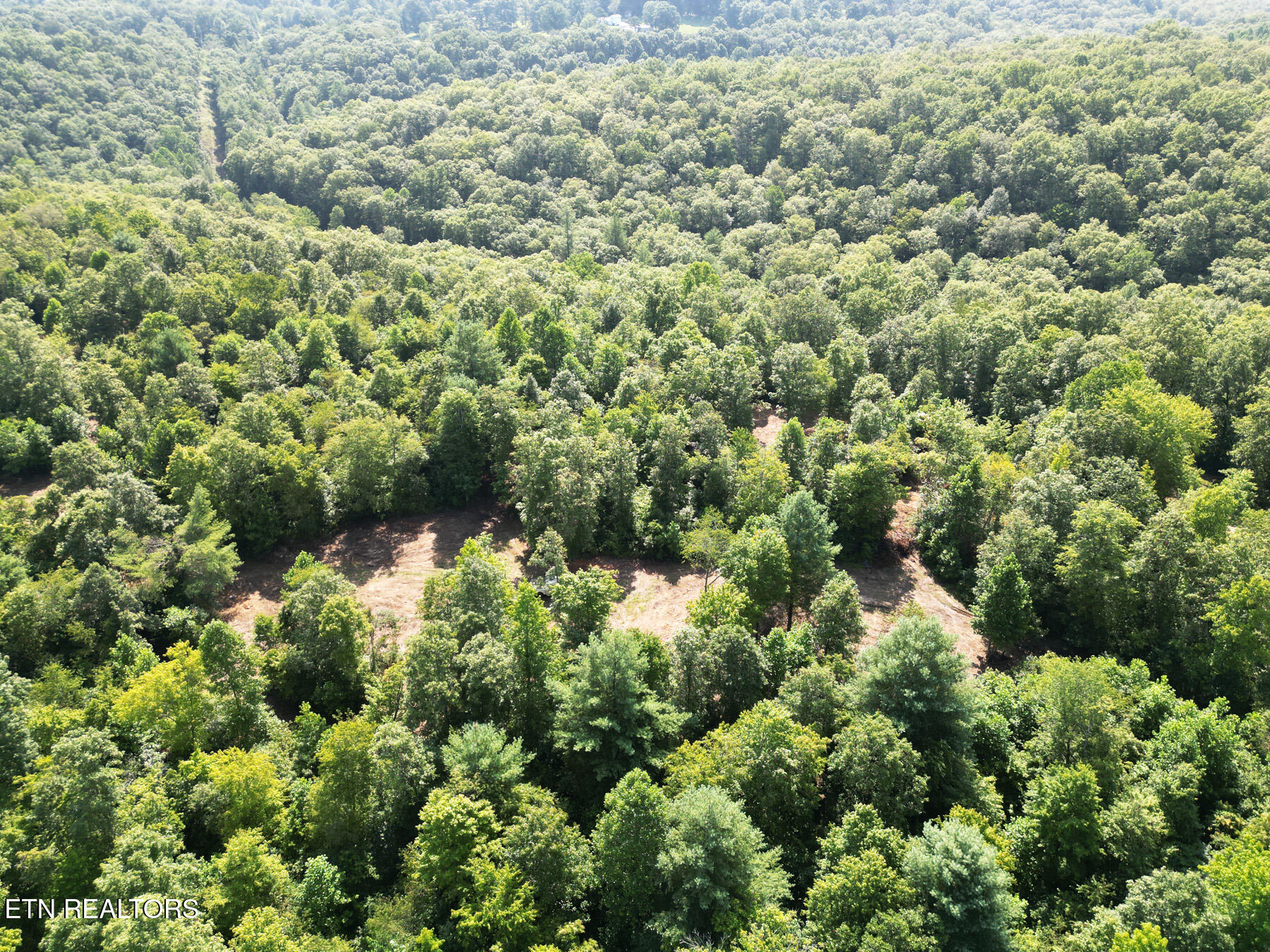 0 Sheep Ranch Road Robbins, TN 37852 - Photo 6 of 36 321.2_6