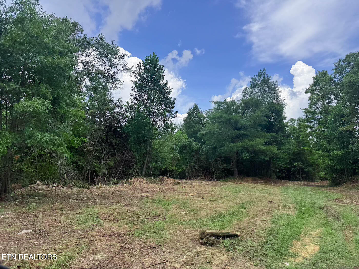 0 Sheep Ranch Road Robbins, TN 37852 - Photo 7 of 36 321.2_7