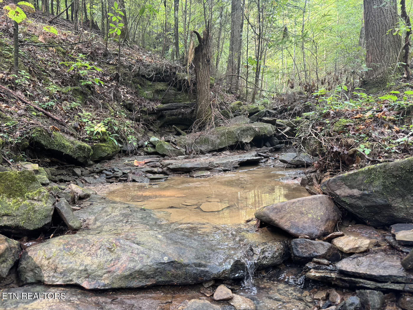 0 Sheep Ranch Road Robbins, TN 37852 - Photo 10 of 36 321.2_10 copy