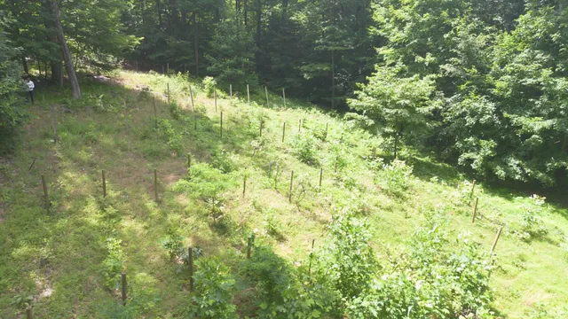 $440,000 | 946 East Chambers Pike, Bloomington, IN 47408