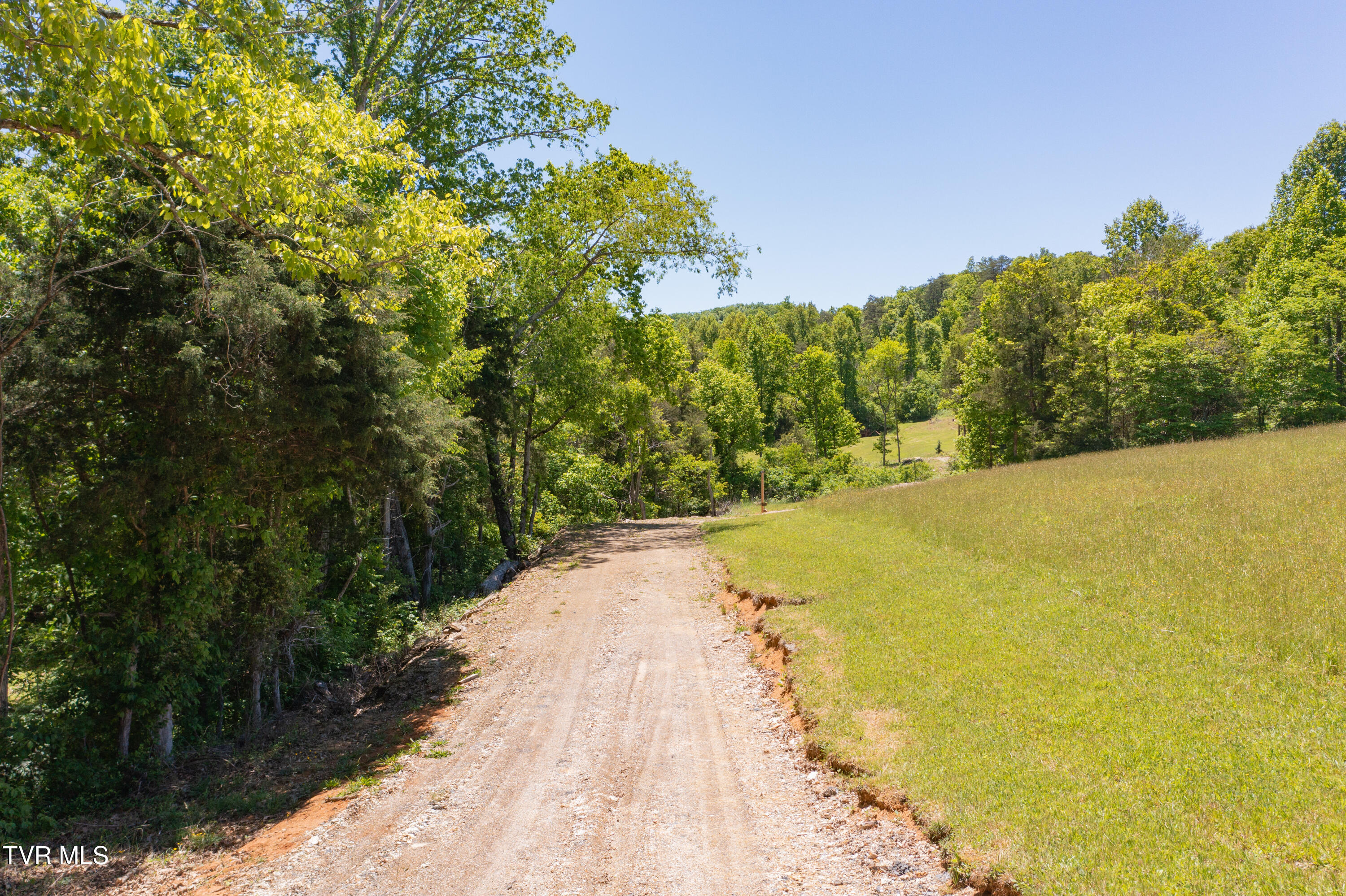 882 Walnut Grove Road Bluff City, TN 37618 - Photo 38 of 45 Walnut Grove Rd-41