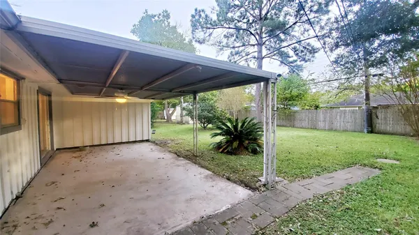 a view of a backyard with large tree