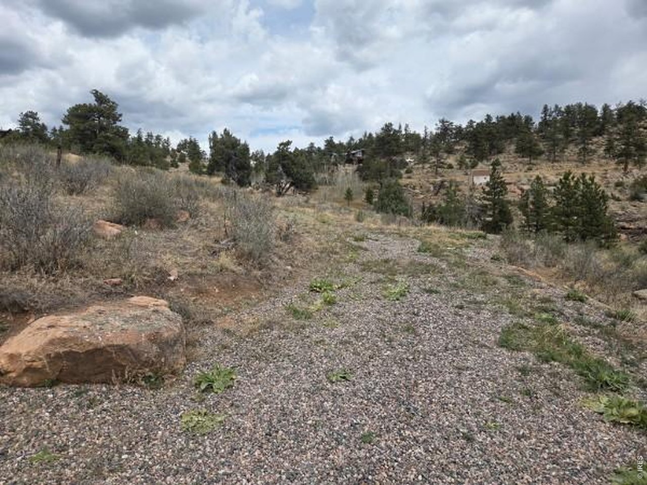 2185 Eiger Road Livermore, CO 80536 - Photo 3 of 19 a view of a dry yard with trees