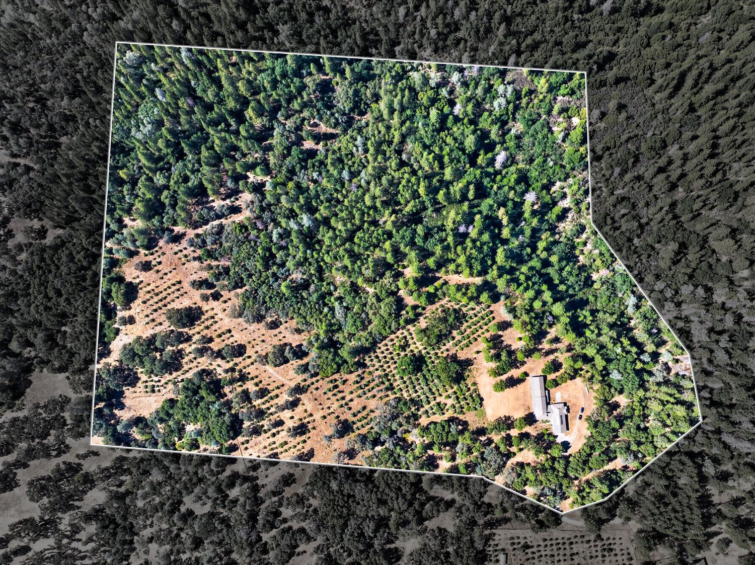 4000 Twin Ridges Road Garden Valley, CA 95633 - Photo 79 of 98