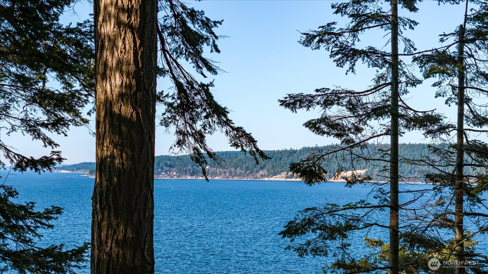 3155 Fox Spit Road Langley, WA 98260 - Photo 28 of 34