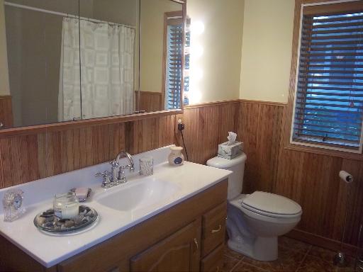 18328 Riegel Road Homewood, IL 60430 - Photo 10 of 14 a bathroom with a sink a toilet and mirror
