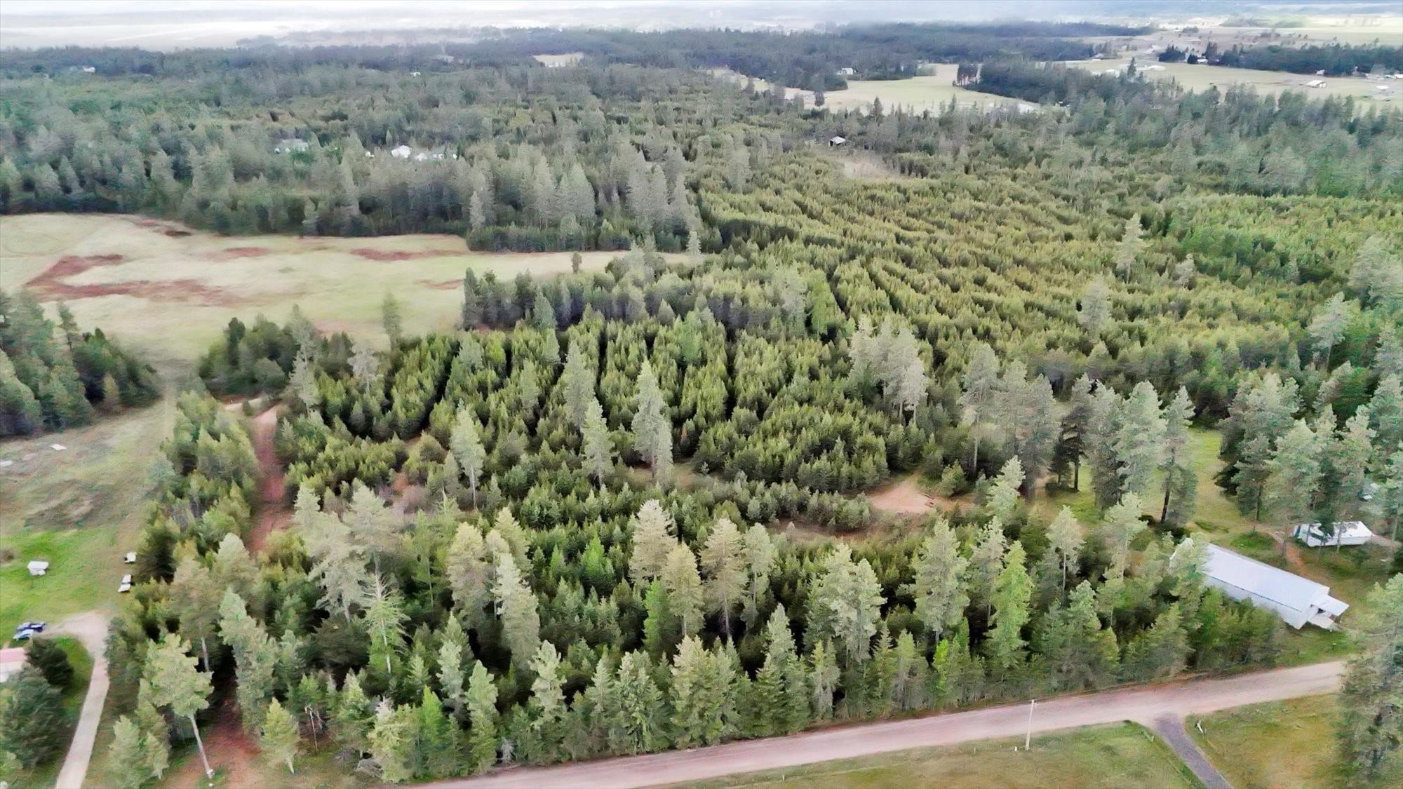 Xxxx West Mason Road Deer Park, WA 99006 - Photo 19 of 20