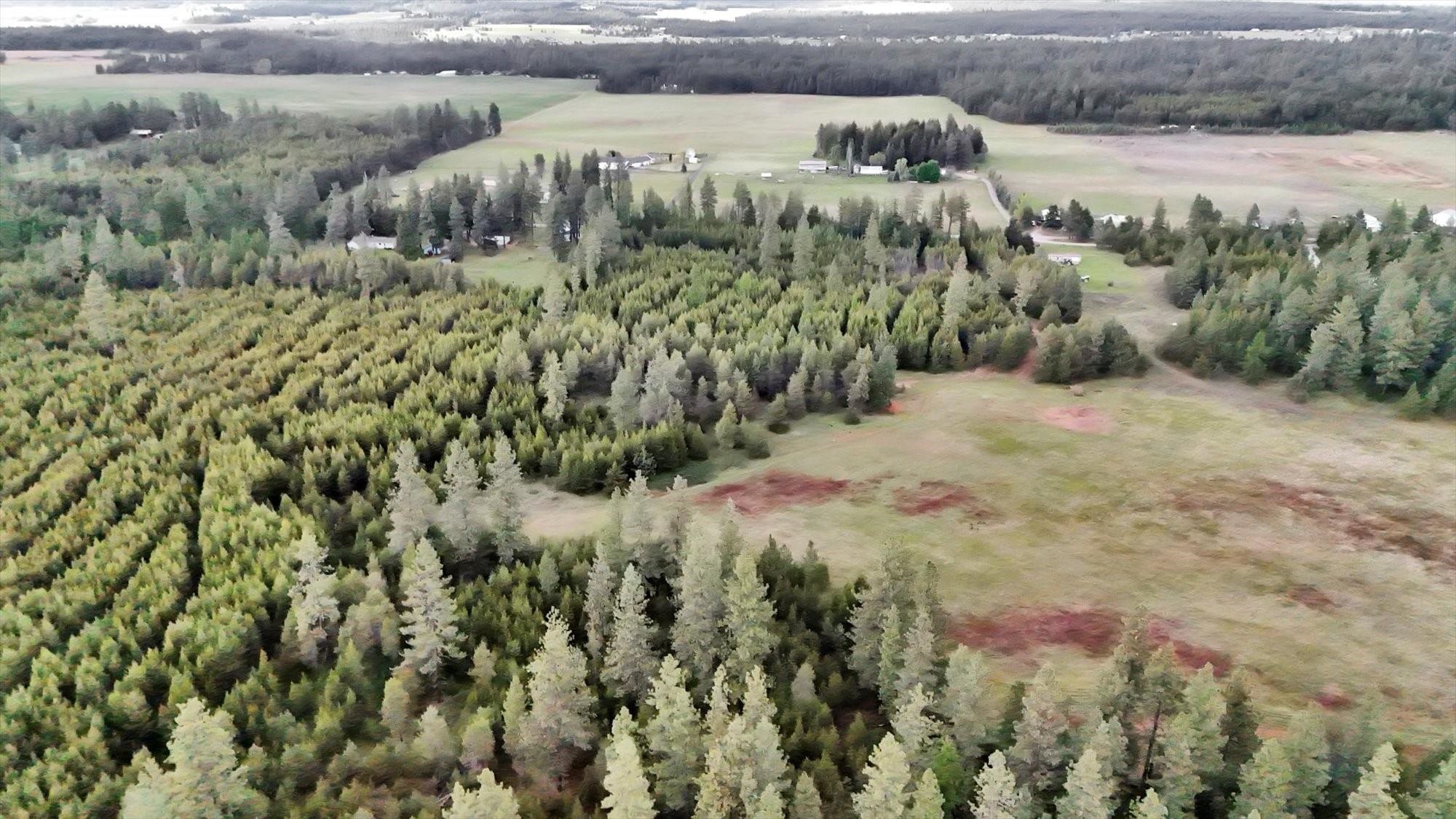 Xxxx West Mason Road Deer Park, WA 99006 - Photo 20 of 20