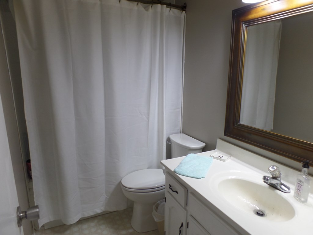 350 State Street Cookeville, TN 38501 - Photo 12 of 21 a bathroom with a sink a toilet and mirror
