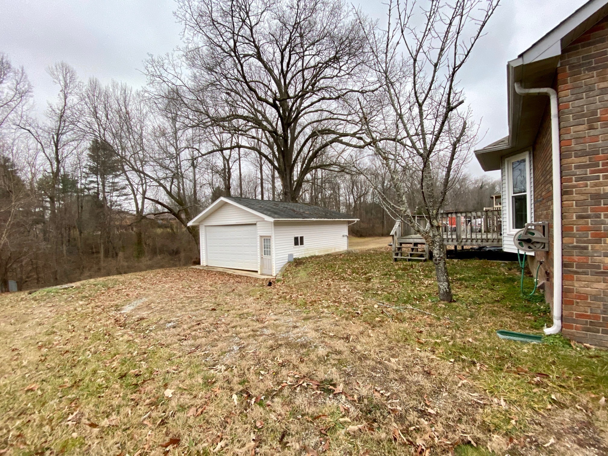 350 State Street Cookeville, TN 38501 - Photo 16 of 21 a view of a yard with a large tree