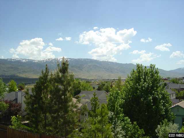 1797 Fox Run Road Reno, NV 89523 - Photo 8 of 9 a view of a lake in middle of the forest