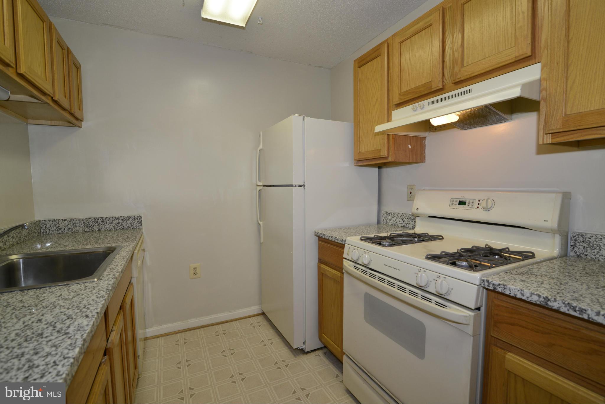 21014 Timber Ridge Terrace, Unit 301 Ashburn, VA 20147 - Photo 11 of 17 Kitchen