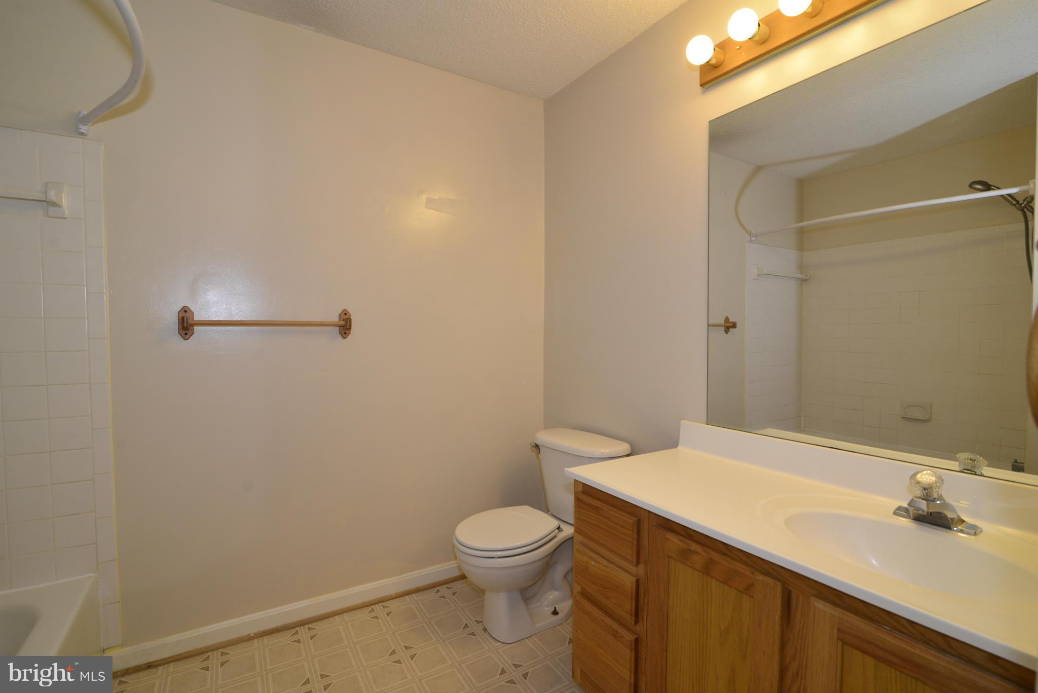 21014 Timber Ridge Terrace, Unit 301 Ashburn, VA 20147 - Photo 6 of 17 Bath (Master)