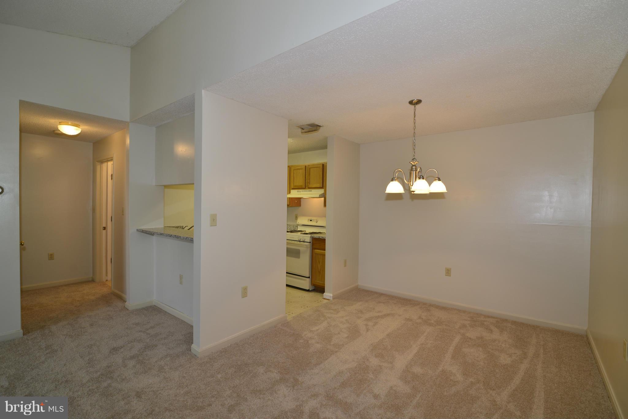 21014 Timber Ridge Terrace, Unit 301 Ashburn, VA 20147 - Photo 8 of 17 Dining Room