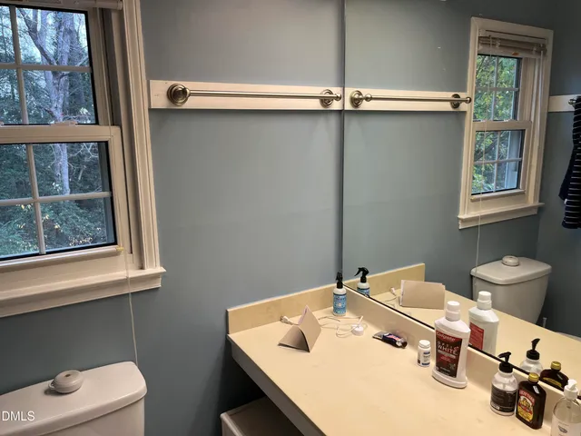 a bathroom with a sink vanity and toilet