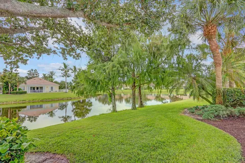 a view of a park with large trees