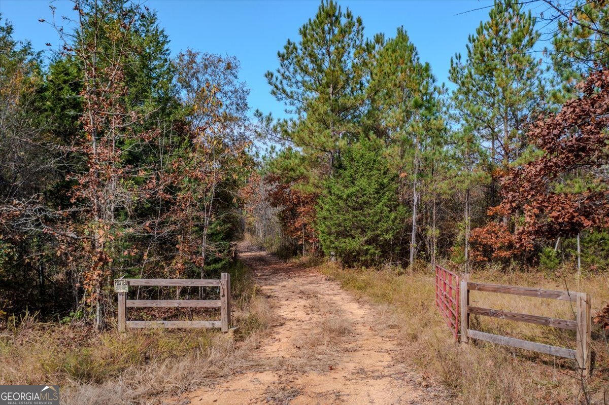 46 Owens Dairy Road Summerville, GA 30747 - Photo 1 of 20 a view of outdoor space and yard