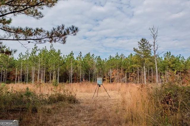 $250,000 | 46 Owens Dairy Road, Summerville, GA 30747