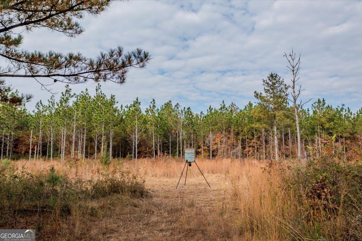 46 Owens Dairy Road Summerville, GA 30747 - Photo 15 of 20 a view of lake