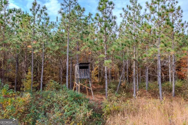 $250,000 | 46 Owens Dairy Road, Summerville, GA 30747