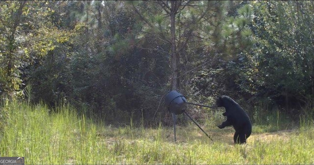 46 Owens Dairy Road Summerville, GA 30747 - Photo 19 of 20 a view of lake background
