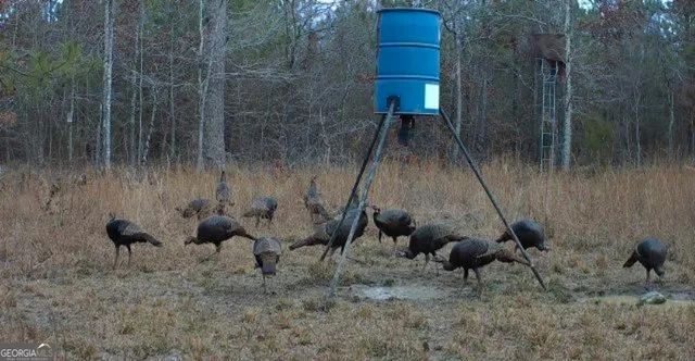 $250,000 | 46 Owens Dairy Road, Summerville, GA 30747