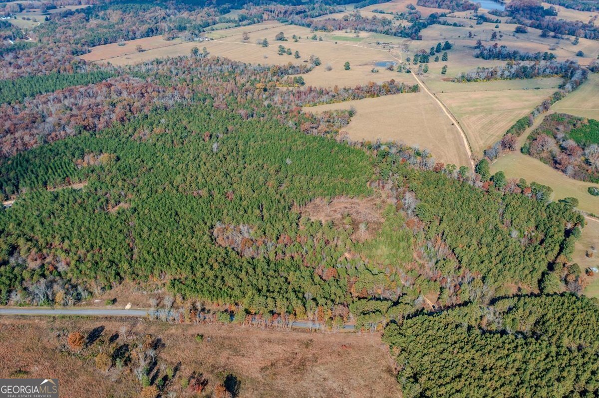 46 Owens Dairy Road Summerville, GA 30747 - Photo 2 of 20 a view of lake view