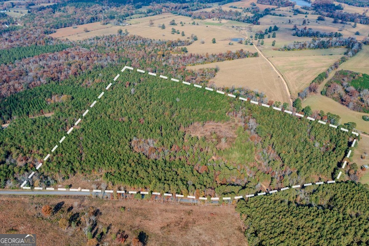 46 Owens Dairy Road Summerville, GA 30747 - Photo 3 of 20 a view of a garden