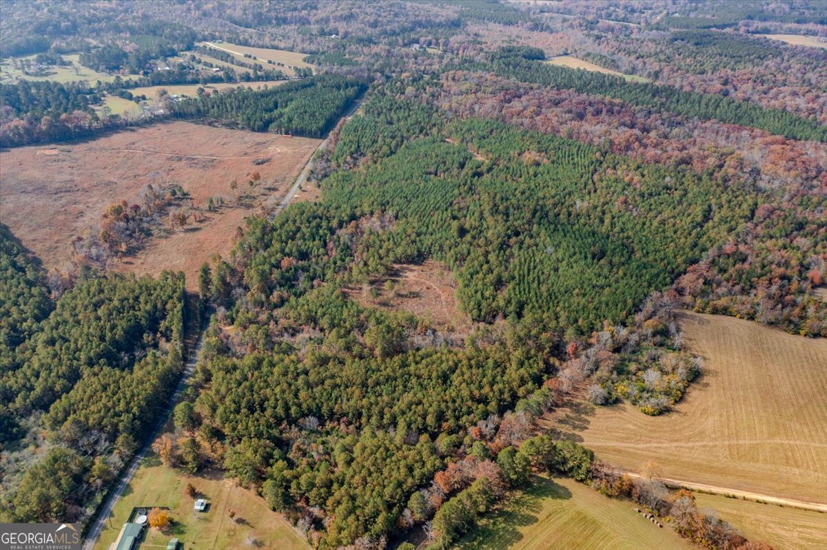 46 Owens Dairy Road Summerville, GA 30747 - Photo 4 of 20 a view of a yard with a pathway