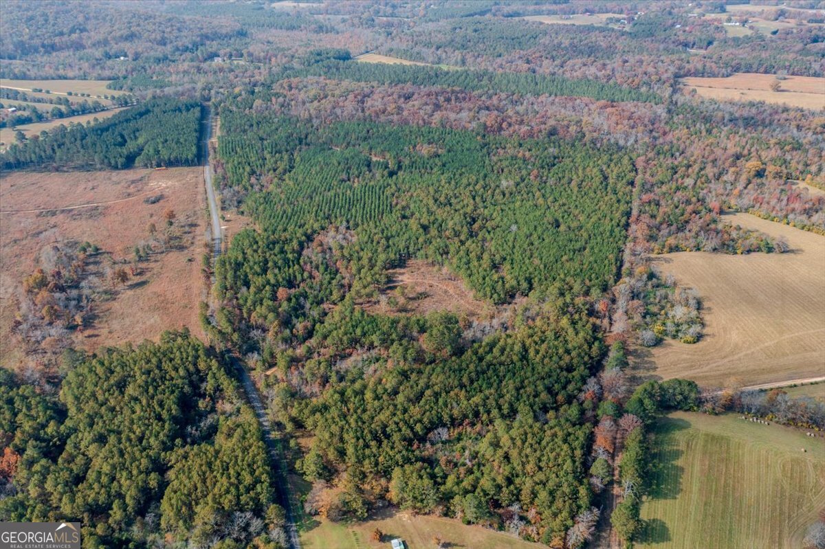 46 Owens Dairy Road Summerville, GA 30747 - Photo 6 of 20 a view of a garden with a lake