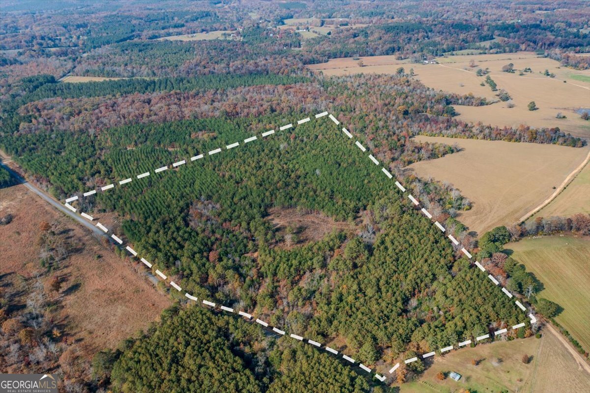 46 Owens Dairy Road Summerville, GA 30747 - Photo 8 of 20 an aerial view of a yard