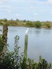 $2,400 | 67 Rue Du Sud, Madisonville, LA 70447