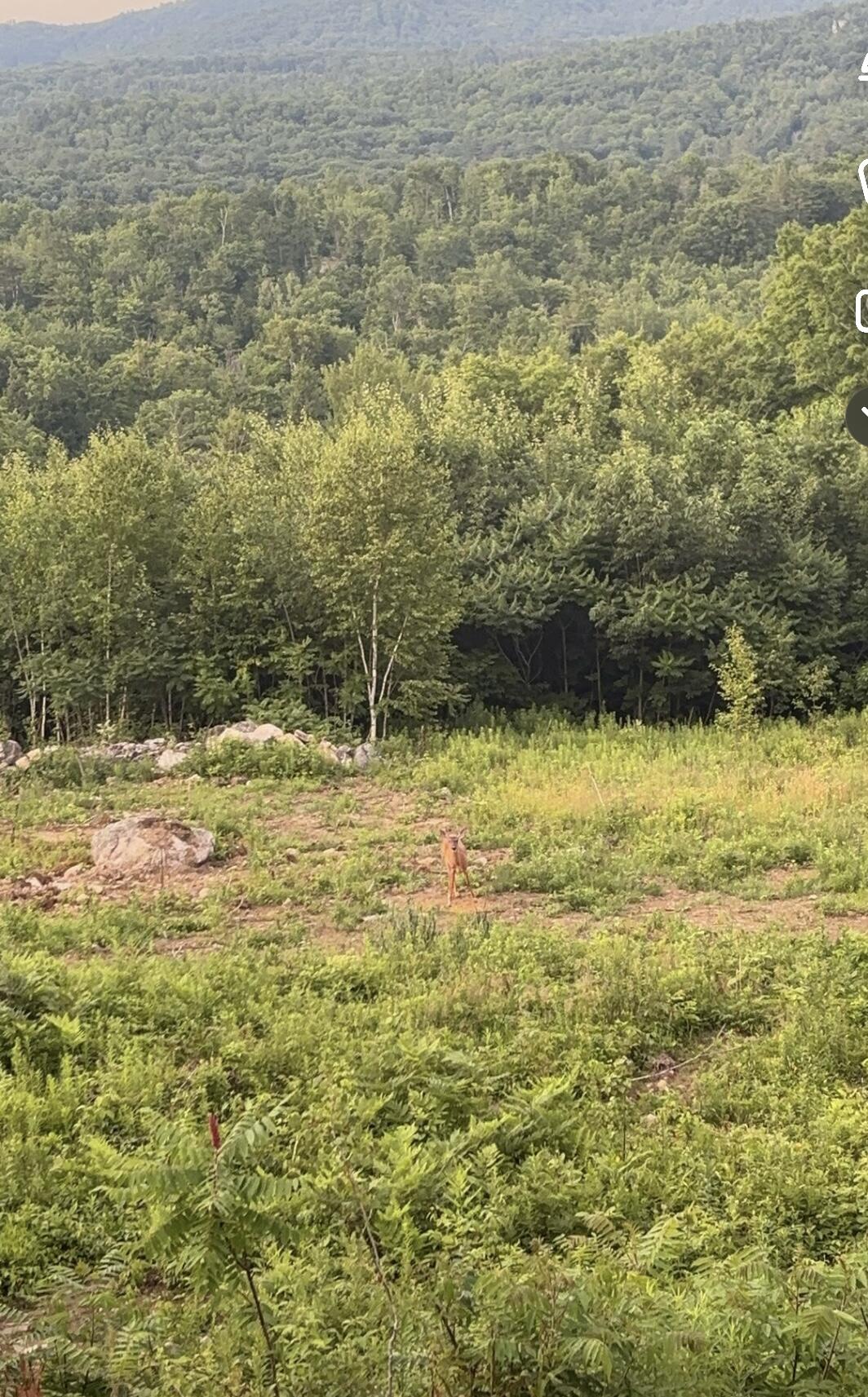 1882 N Road Cornish, ME 04020 - Photo 10 of 59