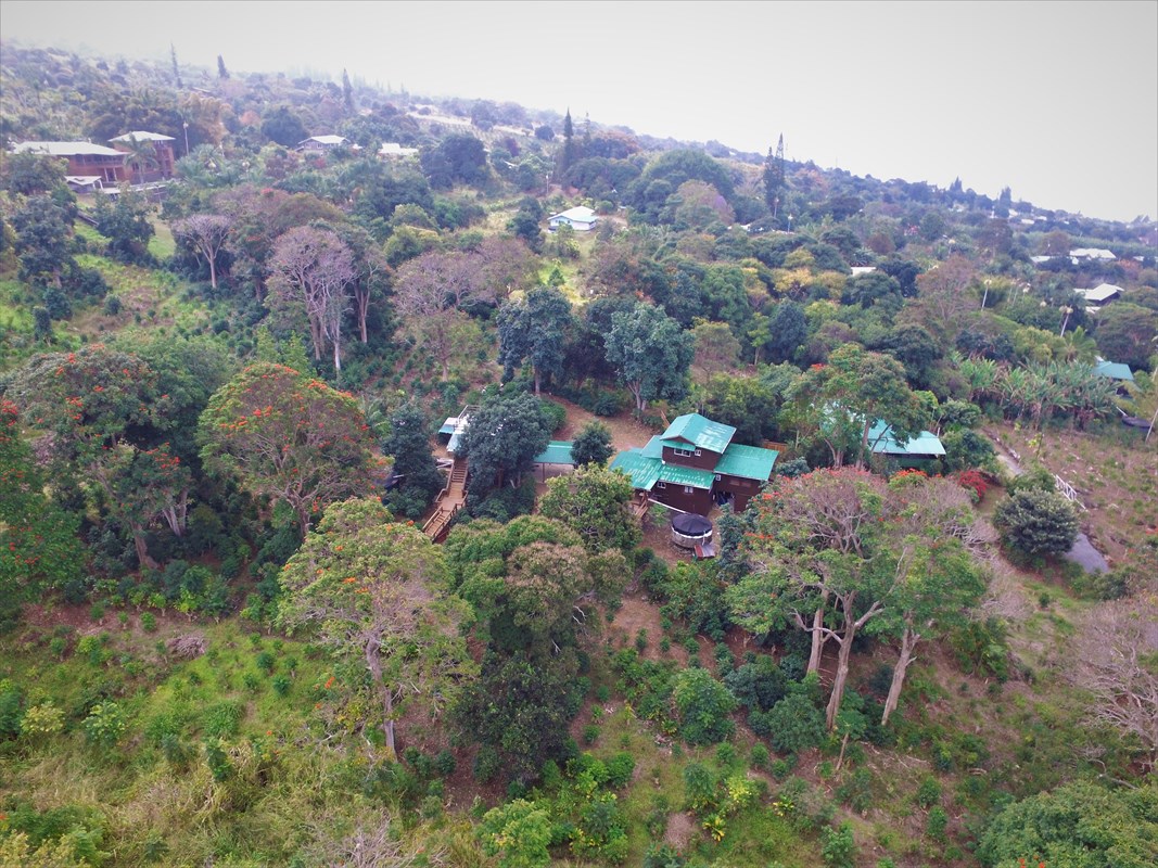 81-1073 Captain Cook Road, Unit A Captain Cook, HI 96704 - Photo 23 of 25 an aerial view of a houses with a lush green hillside