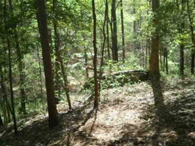 648 Little Crowe Creek Road Pickens, SC 29671 - Photo 3 of 8 Gallery Image 3
