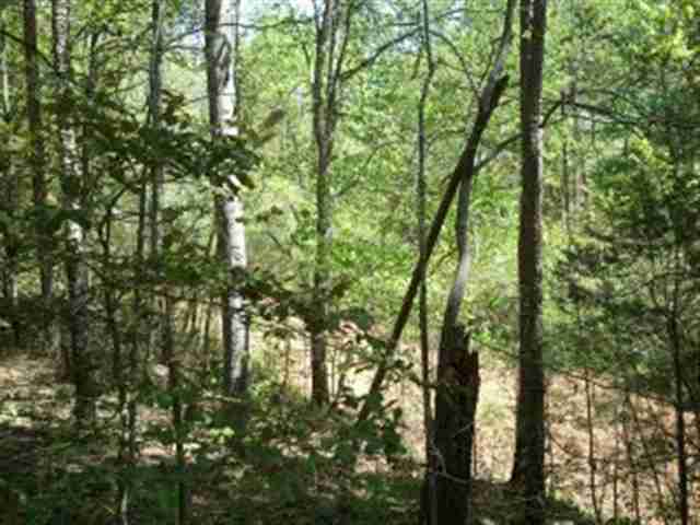 648 Little Crowe Creek Road Pickens, SC 29671 - Photo 4 of 8 Gallery Image 4