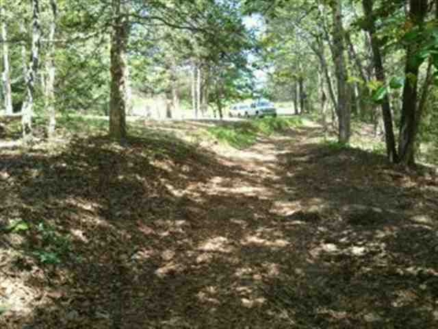 648 Little Crowe Creek Road Pickens, SC 29671 - Photo 5 of 8 Gallery Image 5