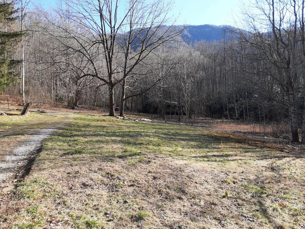 4542 Junaluska Road Andrews, NC 28901 - Photo 2 of 4
