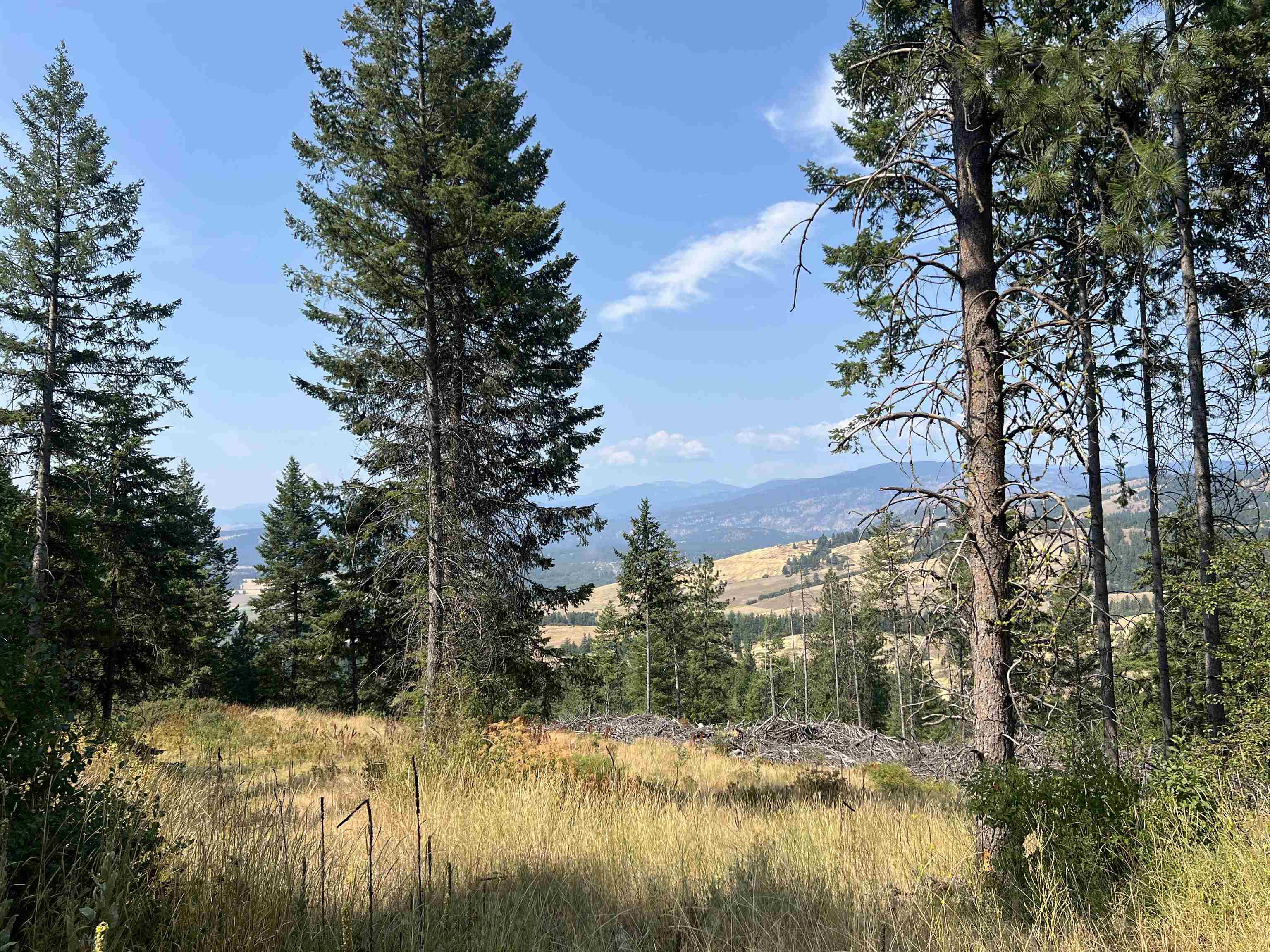 Tbd Highland Loop Road Kettle Falls, WA 99141 - Photo 1 of 12 Gallery Image 1